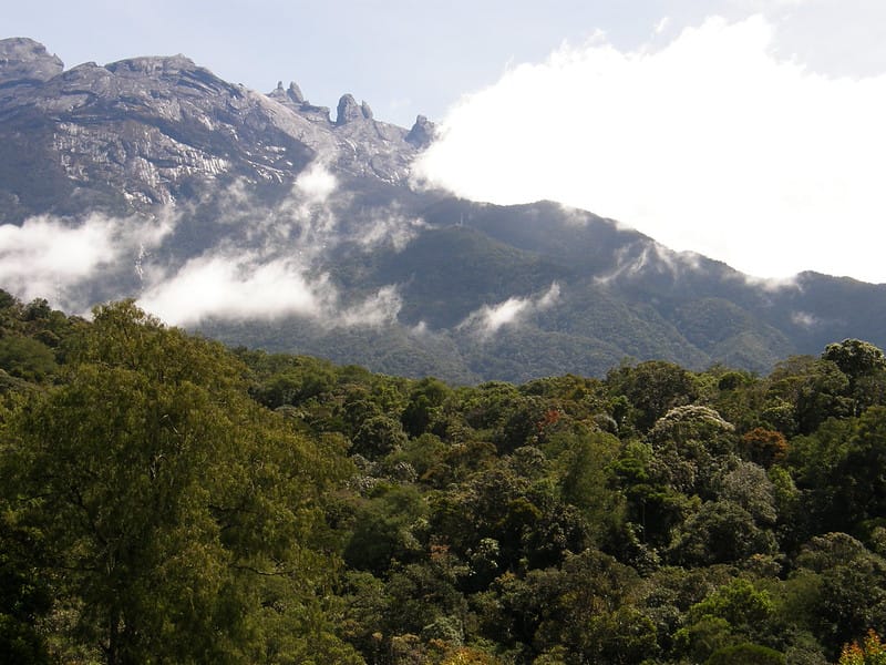 Kinabalu Park new