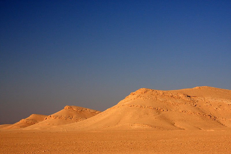 Syrian Desert subtropical 