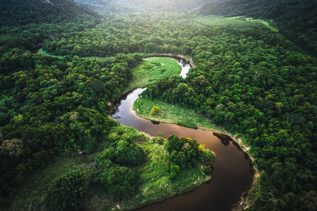 Amazon Rainforest and River – South America’s Green Heart